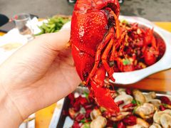 -老黑板筋(顺义总店)