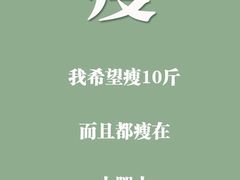 -炑羊香烤全羊(西三旗店)