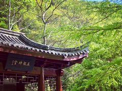 -宁波五龙潭景区