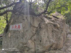 -阳台山自然风景区