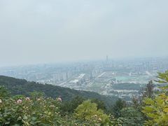 -杭州半山国家森林公园