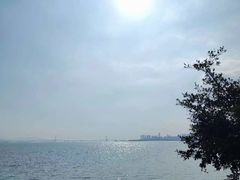 -深圳湾公园(南山区)