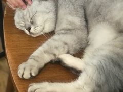 -不舍昼夜咖啡馆