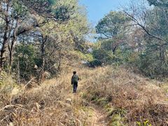 -青龙山国家森林公园