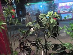 -尊品牛排(高能广场店)