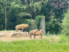 -北京野生动物园