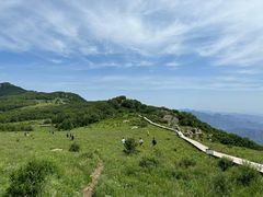 -白草畔自然风景区