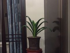 -湖北味道(湖北大厦店)