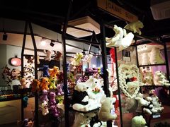 -济州岛泰迪熊博物馆