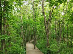 -青峰峡国家森林公园