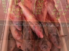 -王老六铁锅炖鱼(圣亚海洋店)
