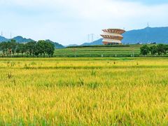 -光明小镇欢乐田园