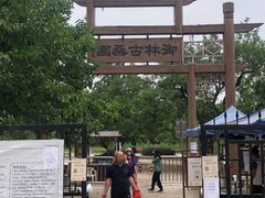 -御林古桑园