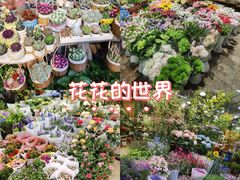 -双季花艺园艺市场(浦东店)
