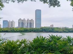 -南宁南湖公园