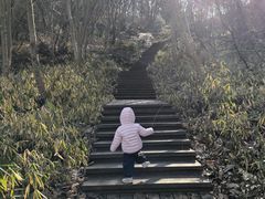 -南山风景名胜区