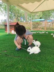 -萌宠亲子动物乐园(槐房万达店)