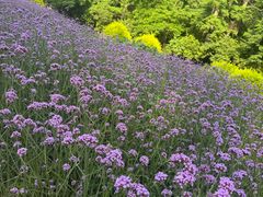-秦皇岛野生动物园