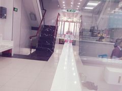 -瑞鹏宠物医院华南总院·夜诊·心脏科·骨科