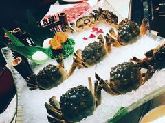-海底捞火锅(泉城路店)