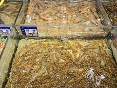 -渔傅·霞浦滩涂海鲜(建平店)