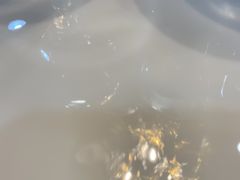 -德天肥牛海鲜火锅(龙吟坊店)