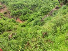 -冶力关旅游区