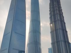 -陆家嘴中心绿地