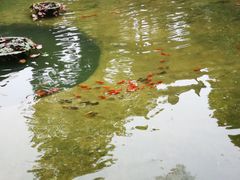 -个园