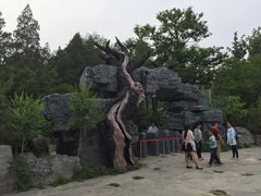 -北京周口店北京人遗址博物馆