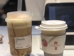 -树夏(建设路店)