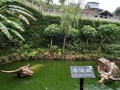-燊海井
