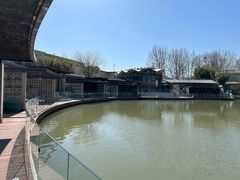 -春晖园度假酒店温泉