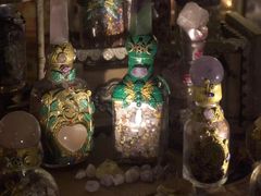 -雪灵魔法世界SHELLY’S TAROT(大良桂畔里店)