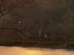 -昆山城市生态森林公园