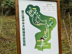 -都江堰中华大熊猫苑