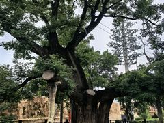 -仓颉庙