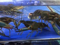 -无锡苏宁银河国际酒店-悦府65中餐厅