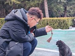 -四门塔风景区