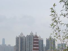 -小茶闲舍·观景商务茶馆(广州塔店)