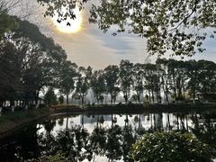 -金银湖国家城市湿地公园
