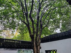 -秋霞圃