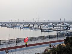 -星光岛