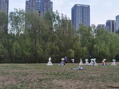 -长白岛森林公园