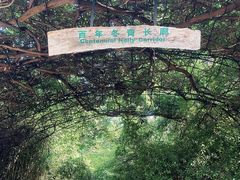 -烟台山景区
