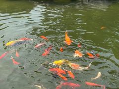 -扬州瘦西湖温泉
