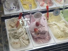 -柠檬车露(卖草地店)