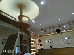 -滚猫咖啡·猫咖·猫友好撸猫(未来城店)