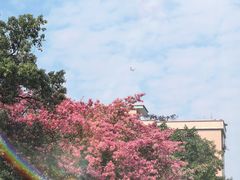 -均和墟历史街区-平和大押