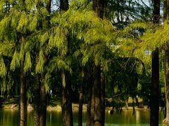 -CGV星星影城(颐堤港ScreenX店)